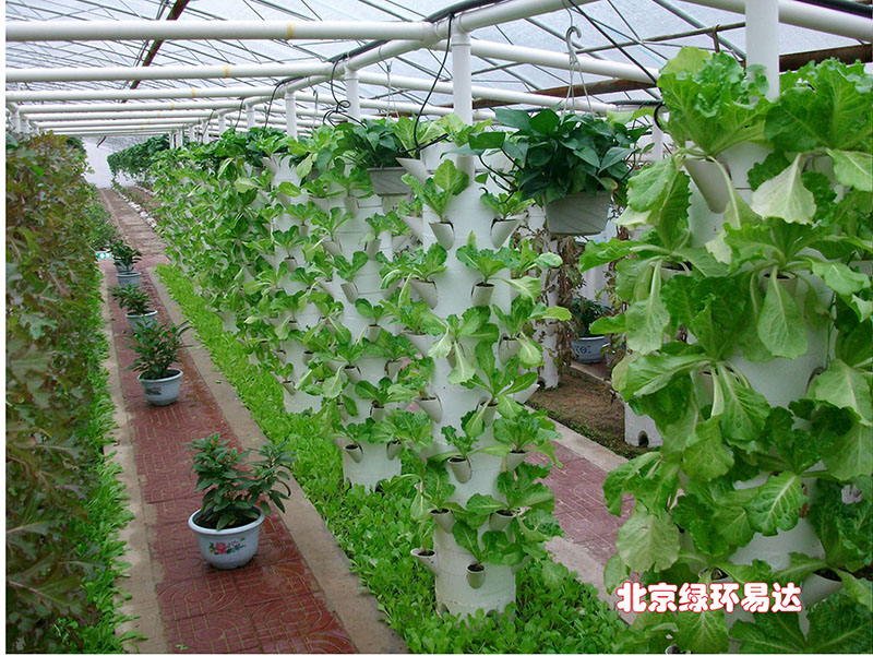 立柱式无土栽培设施搭建施工